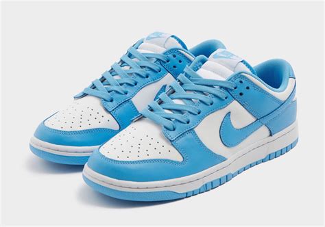 herren nike dunks|nike dunks color.